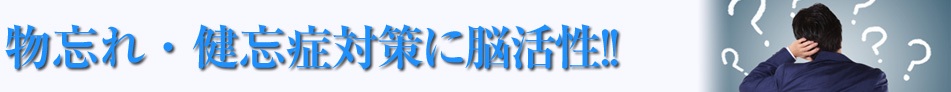 物忘れ・健忘症対策に脳活性