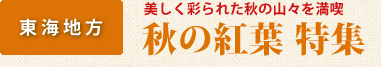 秋の紅葉特集　東海版