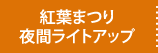 もみじまつり・夜間ライトアップ