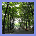 Hisaya-odori Park