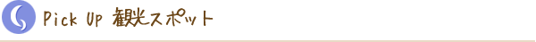 ピックアップ観光情報